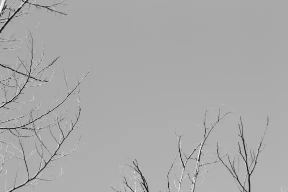 XCasino Kazino Pagalba